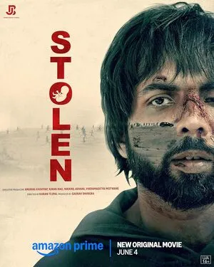 Stolen 2025 Hindi WEB-DL 720p - 480p - 1080p - Movierulz