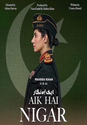 Aik Hai Nigar (2021) Urdu Movie 720p HDRip x264 [800MB] - Movierulz
