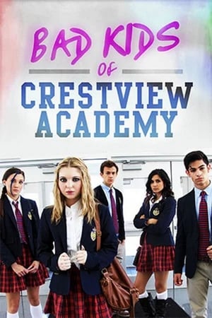 Bad Kids of Crestview Academy (2017) Hindi Dual Audio 480p Web-DL 330MB - Movierulz