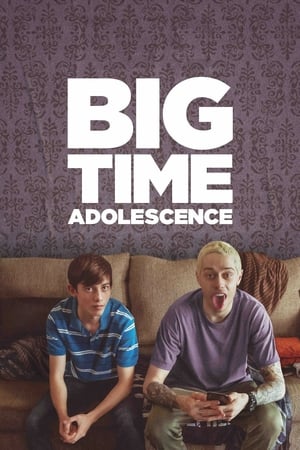Big Time Adolescence (2019) Hindi Dual Audio HDRip 720p – 480p - Movierulz