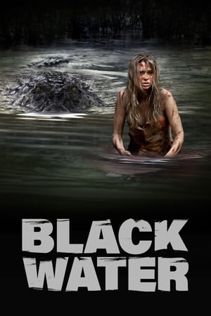 Black Water (2007) Hindi Dual Audio 720p BluRay [1GB] - Movierulz