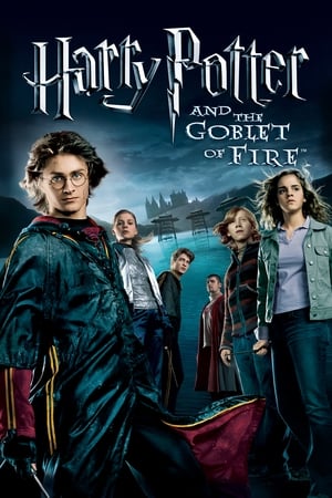 Harry Potter and the Goblet of Fire (2005) 100MB Dual Audio [Hindi-Enlish] - Movierulz