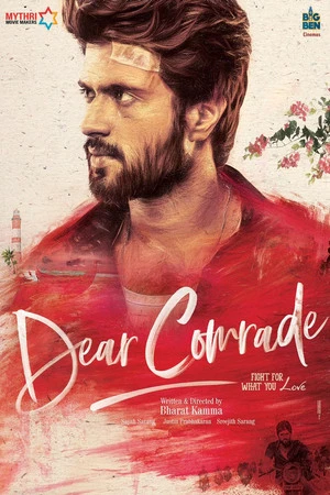 Dear Comrade 2019 Hindi Dual Audio WEB-DL 720p - 480p - 1080p - Movierulz