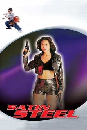 Satin Steel (1994) Hindi Dual Audio 720p Web-DL [700MB] - Movierulz