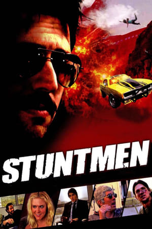 Stuntmen 2009 Hindi Dual Audio 480p WebRip 300MB - Movierulz