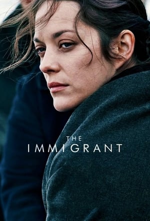 The Immigrant (2013) Hindi Dual Audio 720p BluRay [880MB] - Movierulz