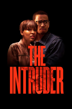The Intruder (2019) Hindi Dual Audio 480p Web-DL 300MB - Movierulz