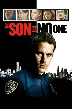 The Son of No One (2011) Hindi Dual Audio 720p BluRay [900MB] - Movierulz