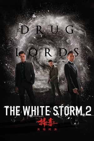 The White Storm 2: Drug Lords (2019) Hindi (Org) 720p HDRip [950MB] - Movierulz
