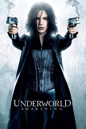 Underworld Awakening (2012) 100mb Hindi Dual Audio movie Hevc BRRip Download - Movierulz