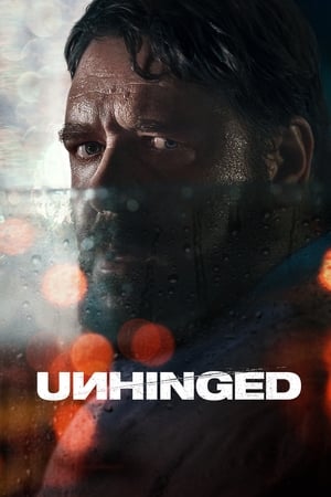 Unhinged (2020) Hindi Dual Audio 480p BluRay 300MB - Movierulz